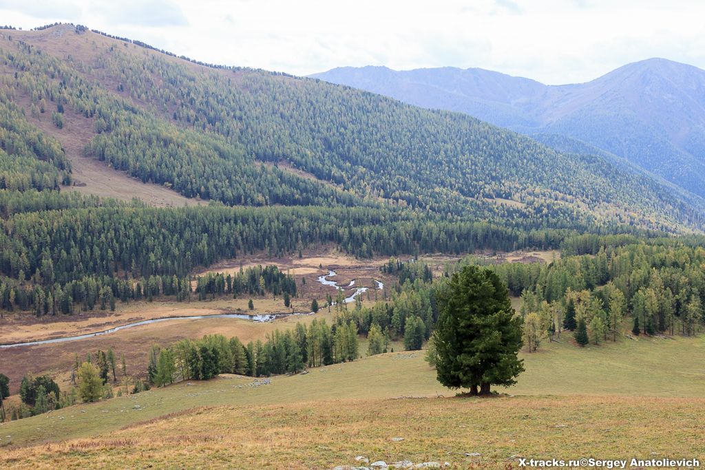 Река Собачья Тихая (брод там, где русло петляет).