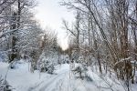 На лыжах от пл. Радищево до пл. Снегири.