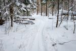 На лыжах от пл. Радищево до пл. Снегири.