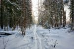 На лыжах от пл. Радищево до пл. Снегири.