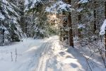 На лыжах от пл. Радищево до пл. Снегири.