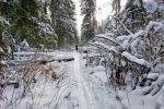 На лыжах от пл. Радищево до пл. Снегири.