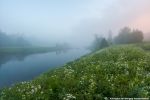 Туман на р.Цна (Тверская обл.) у д. Альпаково.